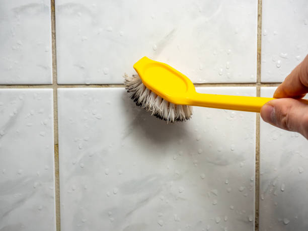 Best Affordable Mold Removal  in Mather, CA