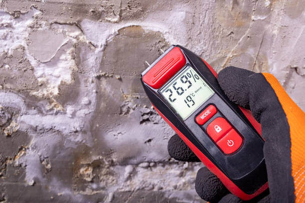 Best Fast Mold Removal  in Mather, CA