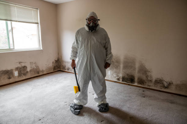 Best Commercial Mold Removal  in Mather, CA